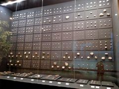 -北京周口店北京人遗址博物馆