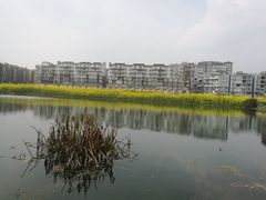 -三道苗苗鱼(三道堰老字号店)