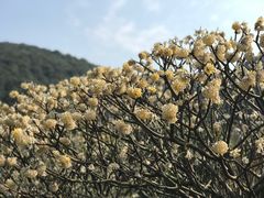 -宁波九龙湖开元度假村