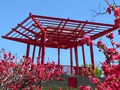 -大望京公园
