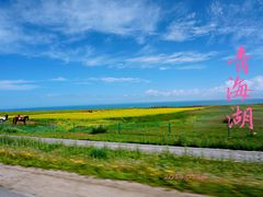 -青海湖国家重点风景名胜区