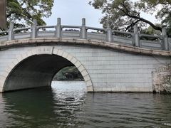 -荔湾湖公园
