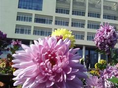 -上海海事大学(临港校区)