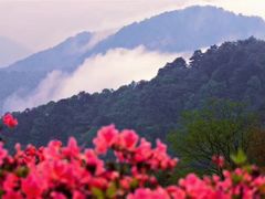 -木兰云雾山
