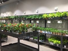 -鹿岛会员店 (龙湖三千集天街店)