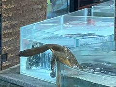 -万龙洲海鲜(南新仓店)