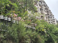 -Again Coffee Roaster(香蜜湖店)