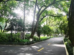 -杭州花家山庄