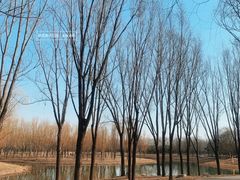 -东郊湿地公园