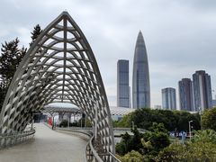 -华润深圳湾体育中心-“春茧” 体育馆