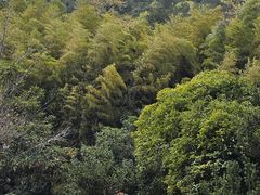 -九龙潭景区