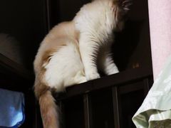 -南理工夜宵美食坑