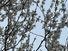 -南开大学(津南校区)