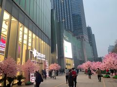 -金茂览秀城