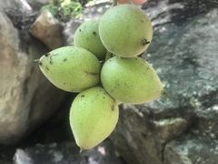 -黑龙潭风景区