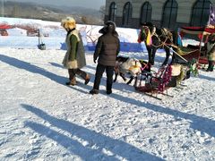 -庙香山滑雪场