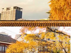 -红梅公园