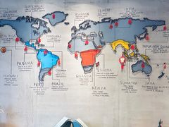 -ZING COFFEE 镜咖啡