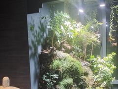 -敦煌神画 (三十三城店)