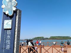 -丁香湖公园