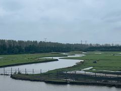 -溱湖国家湿地公园