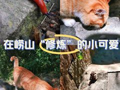 -崂山九水游览区