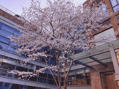 -浙江大学(玉泉校区)
