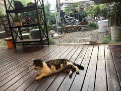 -漫渡庄绿岛花园•隐世庭园菜(滨湖店)