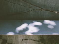 景观位-来回·咖啡(天河南店)