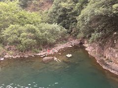 -芦茨金富饭庄·25年老字号·专做稻草鸡