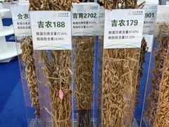 -长春农业博览园