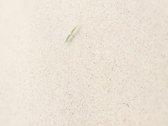 -库伦旗银沙湾旅游景区