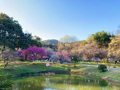 -杭州植物园