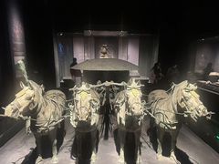 -陕西自然博物馆