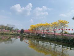 -天适樱花悠乐园