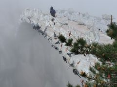 -罗田天堂寨风景区