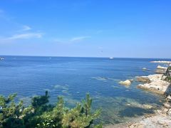 -养马岛旅游度假区