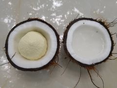 -东郊椰林