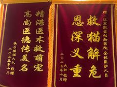 -悦宠凯宝动物医院·牙科·皮肤科(朝阳北路店)