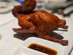 -侨美食家·41年地道粤菜(恒福路店)