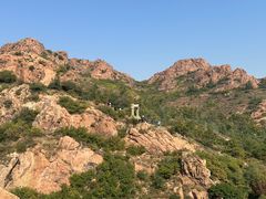 -红山国家森林公园