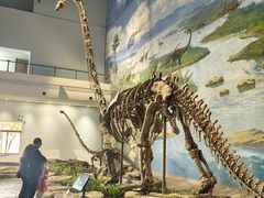 -自贡恐龙博物馆