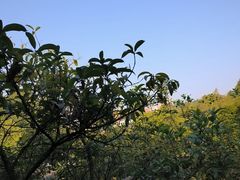 -故乡缘·香格里拉山庄(冷竹路店)