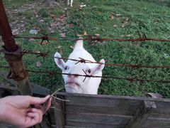 -杭州师范大学(下沙校区)