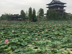 景点-董永七仙女文化园