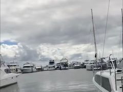 -黄金海岸
