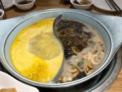 -青瓷火锅料理(西单大悦城店)