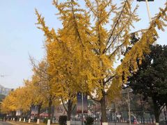 -百年神厨·地道川菜(清江西路店)