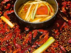 菌汤鸳鸯锅-渝派江湖烩(回兴店)