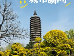 -西海子公园